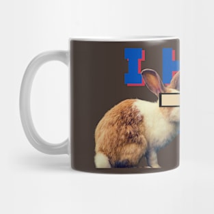 Rabbit Funny Meme Mug